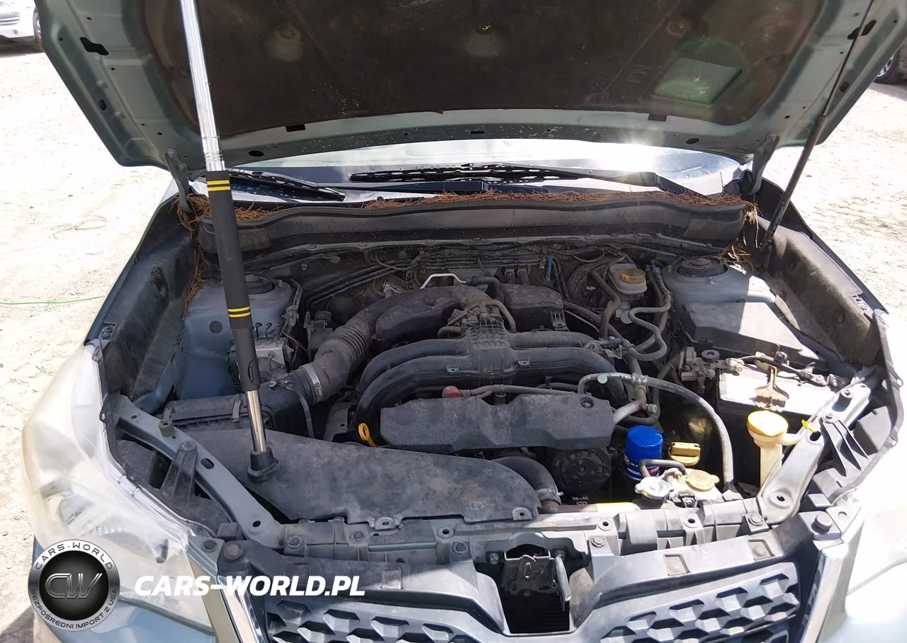 2015 Subaru Forester 2.5I Premium VIN:JF2SJADC1FH528061 - 10
