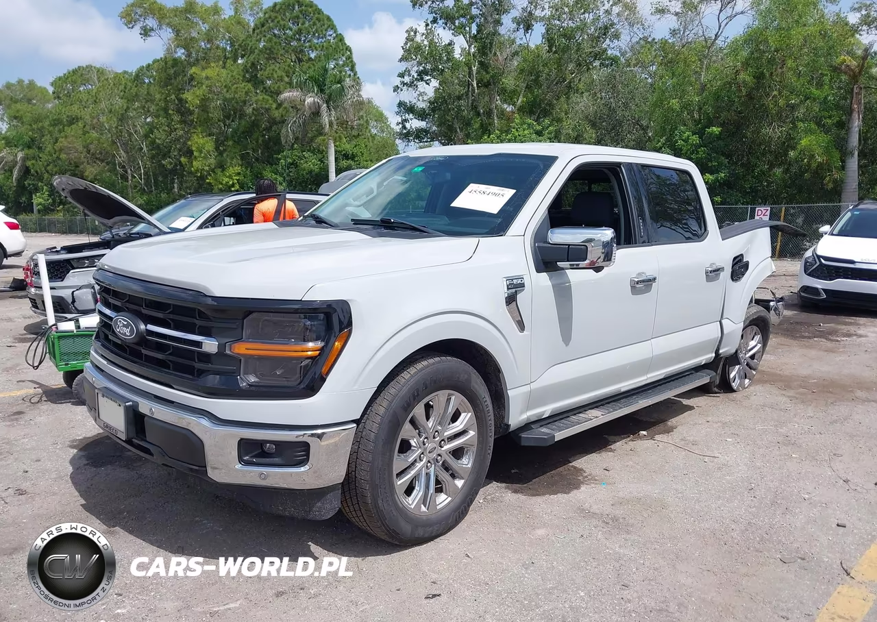 2024 Ford F-150 Xlt VIN:1FTEW3KP4RKD89842 - 2