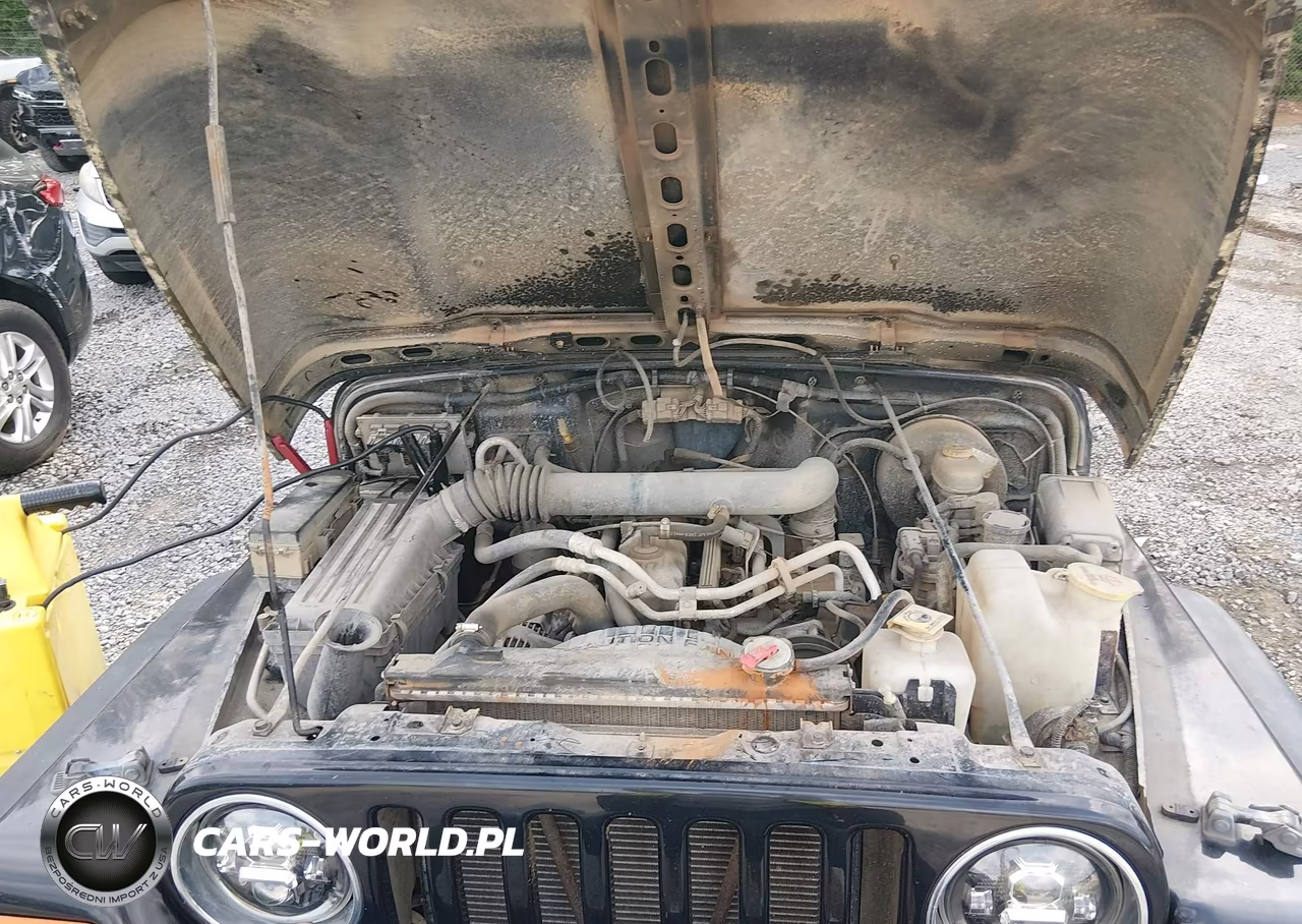 2002 Jeep Wrangler X VIN:1J4FA39S12P732431 - 10