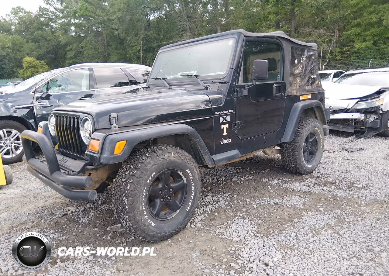 2002 Jeep Wrangler X VIN:1J4FA39S12P732431 - 2