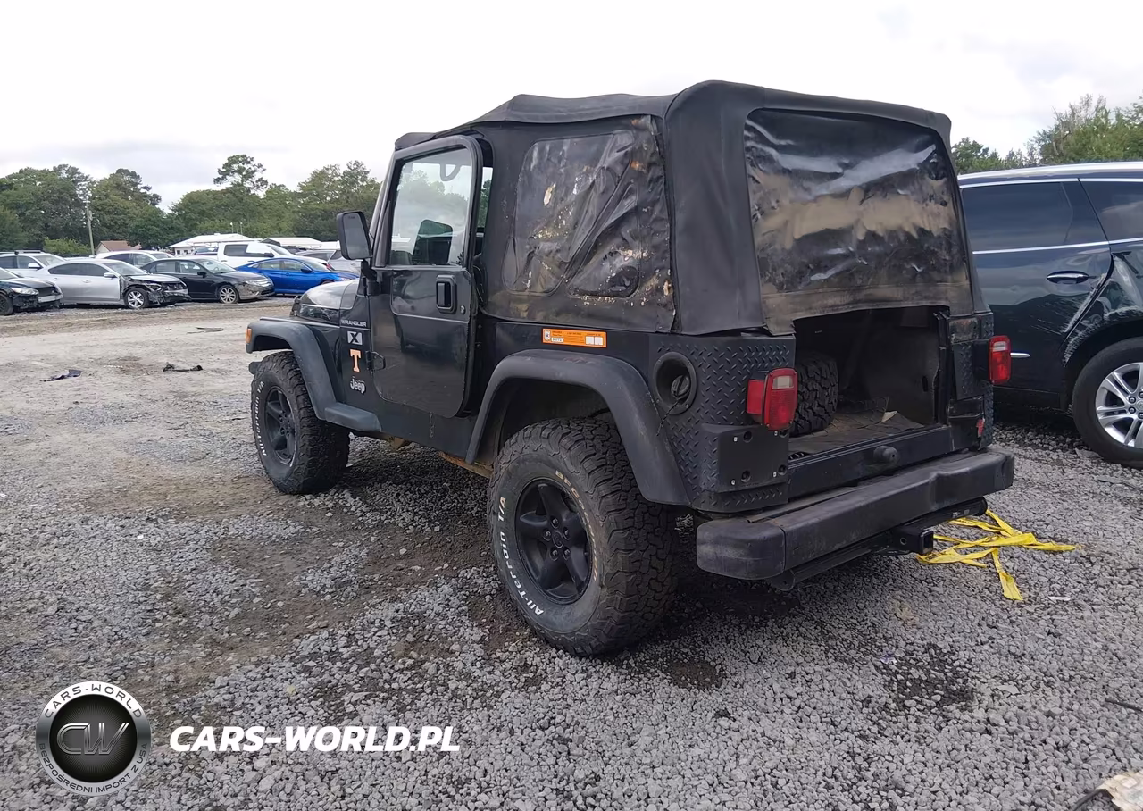 2002 Jeep Wrangler X VIN:1J4FA39S12P732431 - 3