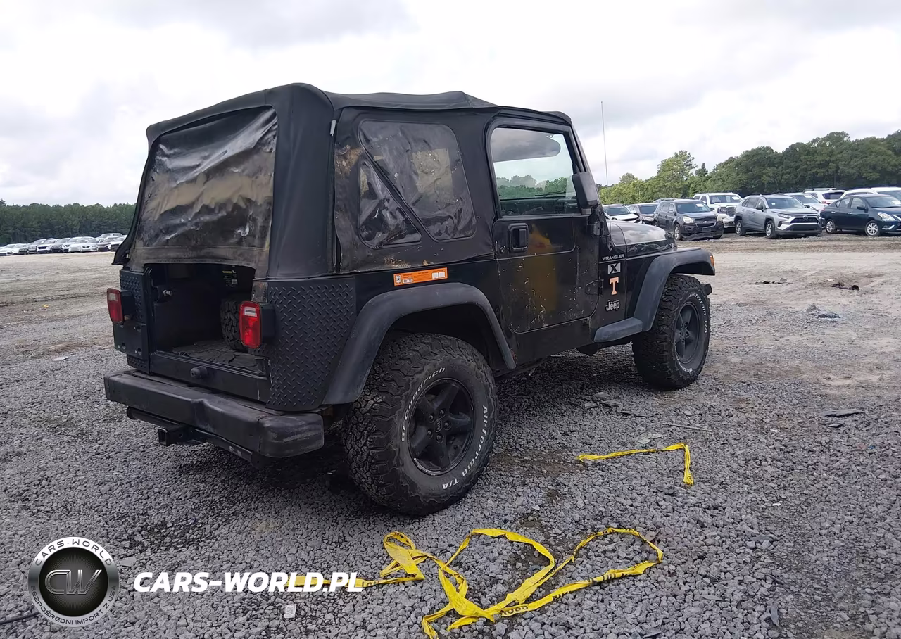 2002 Jeep Wrangler X VIN:1J4FA39S12P732431 - 4