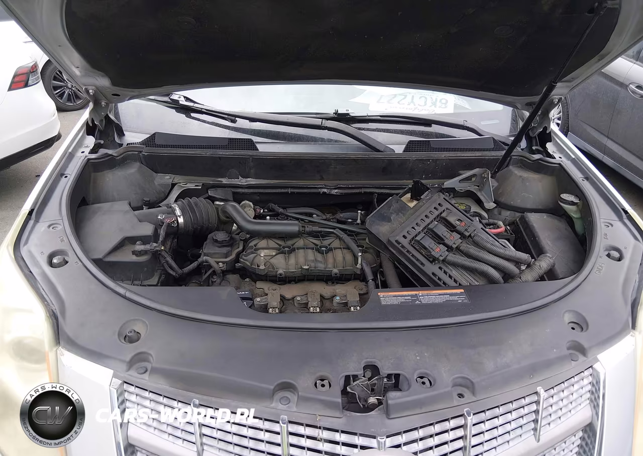2010 Cadillac Srx Luxury Collection VIN:3GYFNAEY0AS518520 - 10