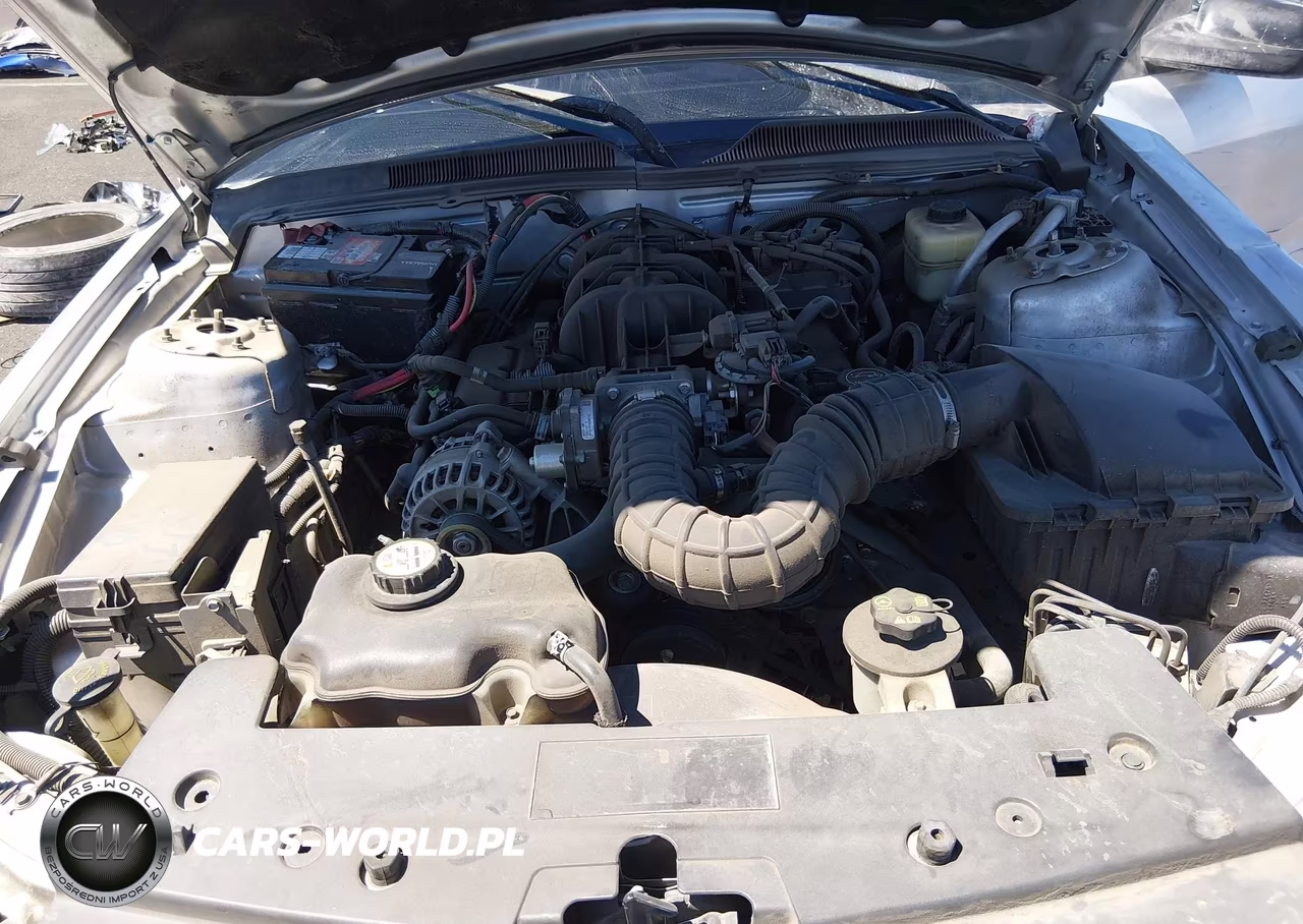 2008 Ford Mustang V6 Deluxe-V6 Premium VIN:1ZVHT80N785196678 - 10
