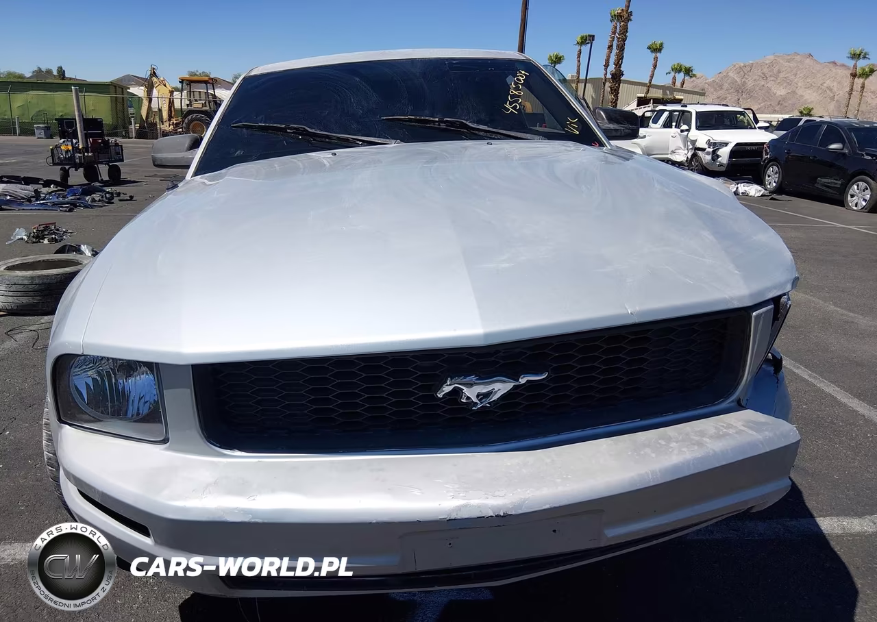 2008 Ford Mustang V6 Deluxe-V6 Premium VIN:1ZVHT80N785196678 - 12