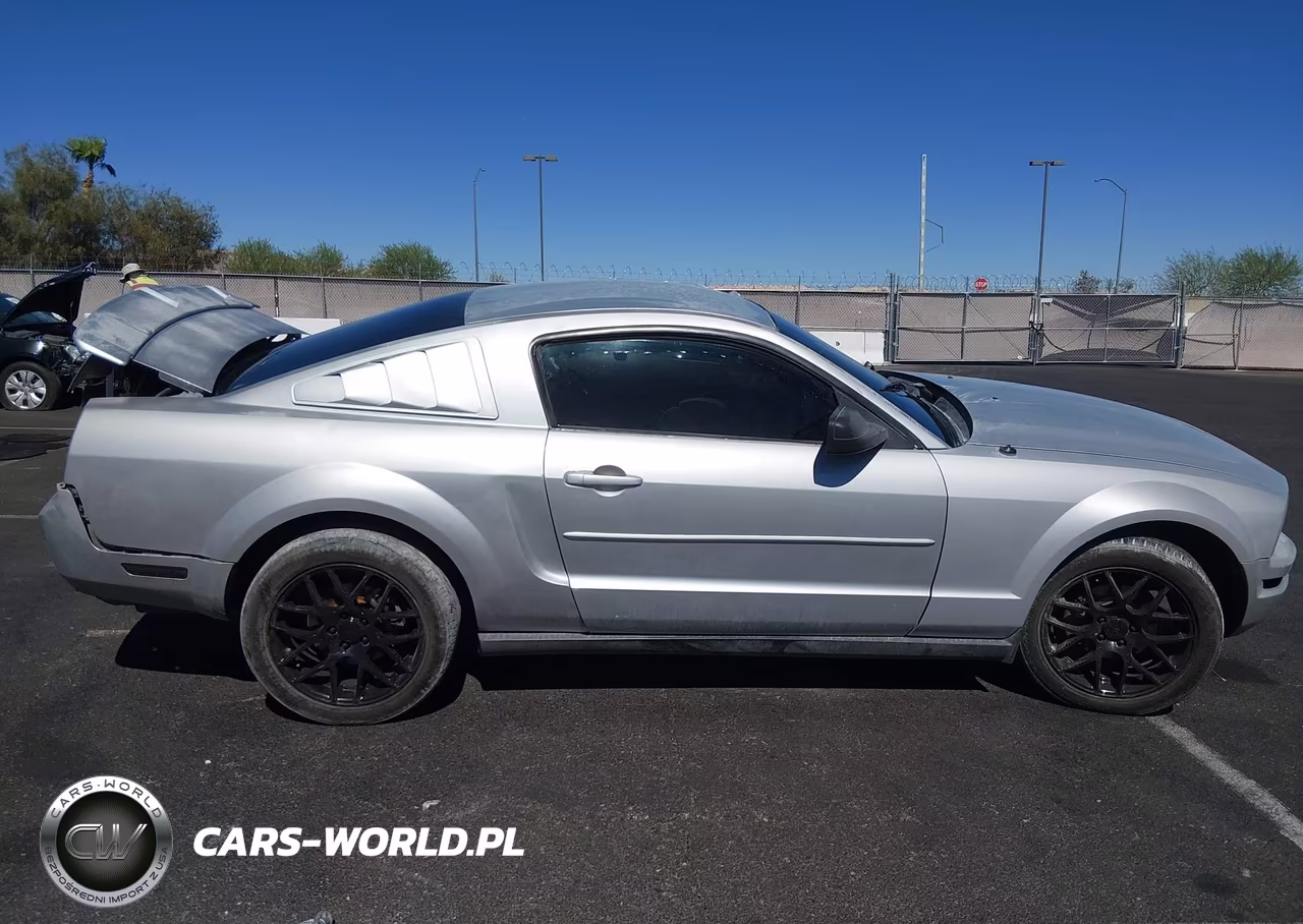 2008 Ford Mustang V6 Deluxe-V6 Premium VIN:1ZVHT80N785196678 - 13