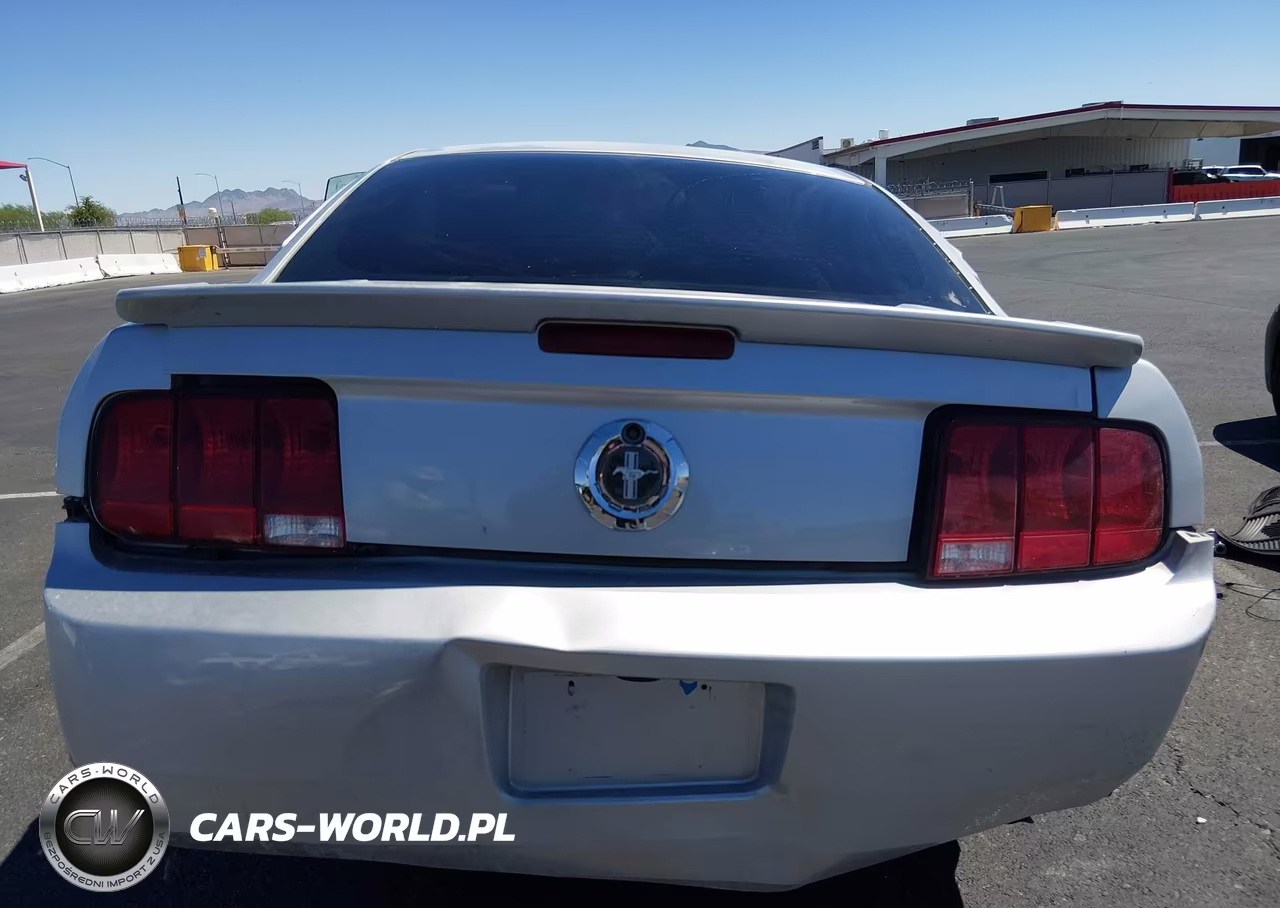 2008 Ford Mustang V6 Deluxe-V6 Premium VIN:1ZVHT80N785196678 - 16