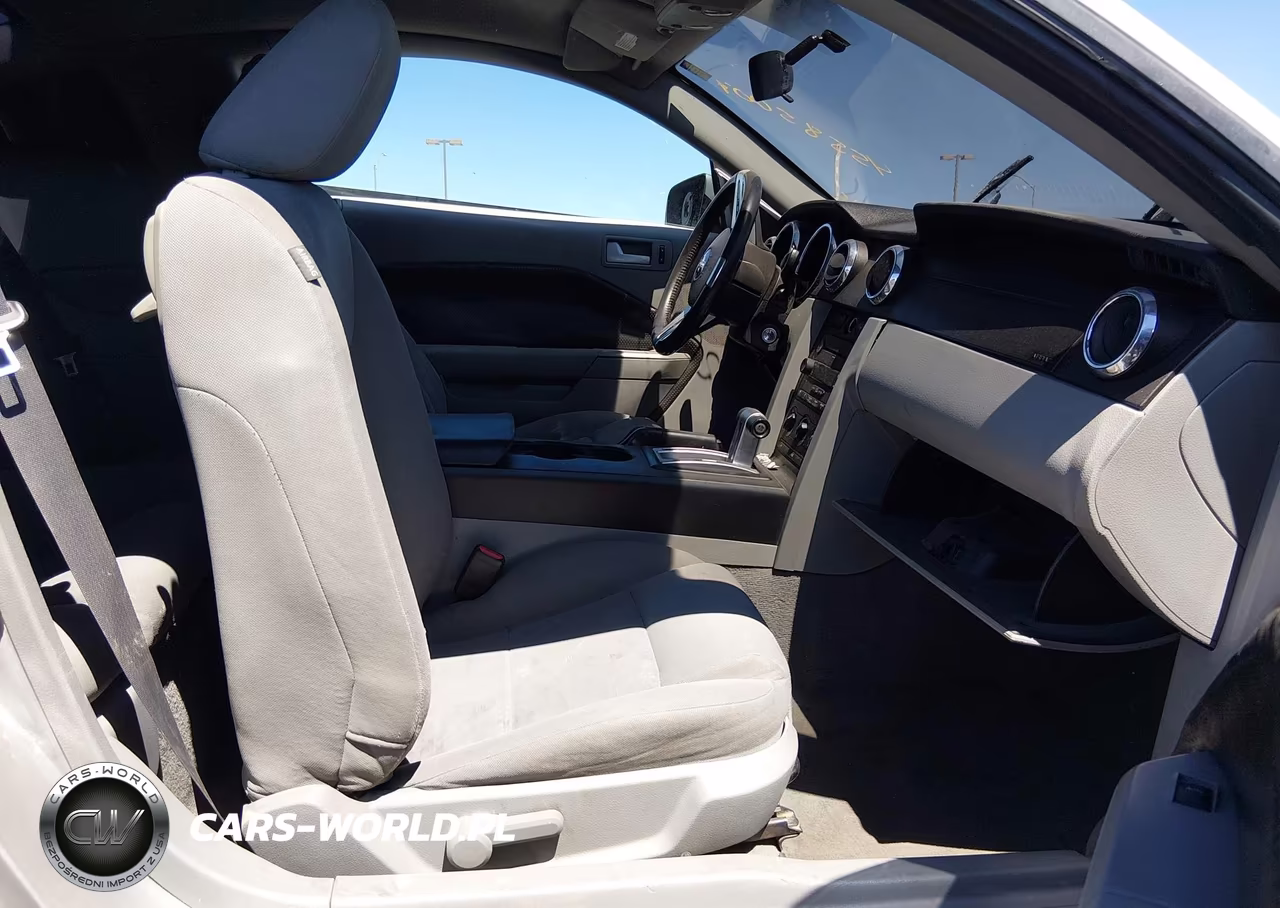 2008 Ford Mustang V6 Deluxe-V6 Premium VIN:1ZVHT80N785196678 - 5