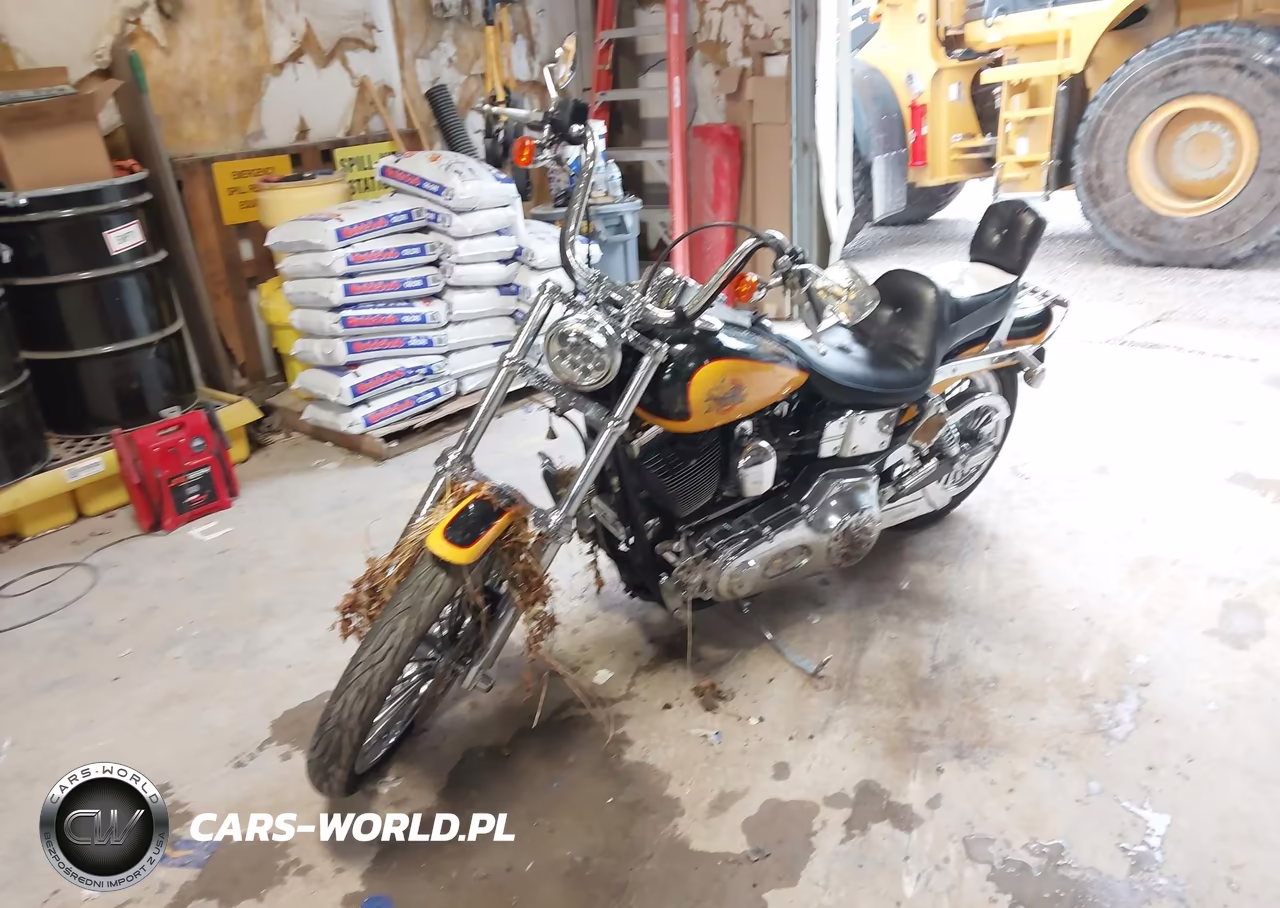 2000 Harley-Davidson Fxdwg VIN:1HD1GEV18YY313839 - 2