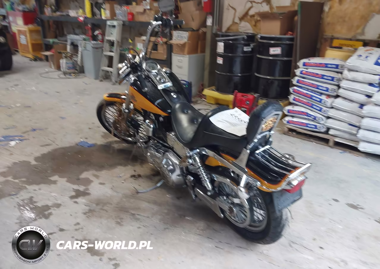 2000 Harley-Davidson Fxdwg VIN:1HD1GEV18YY313839 - 3