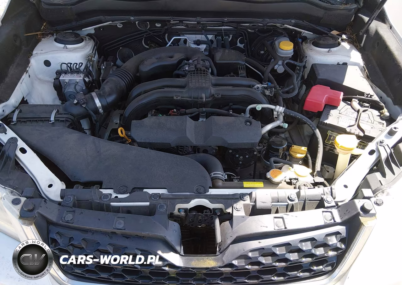 2015 Subaru Forester 2.5I Limited VIN:JF2SJAHC4FH589186 - 10