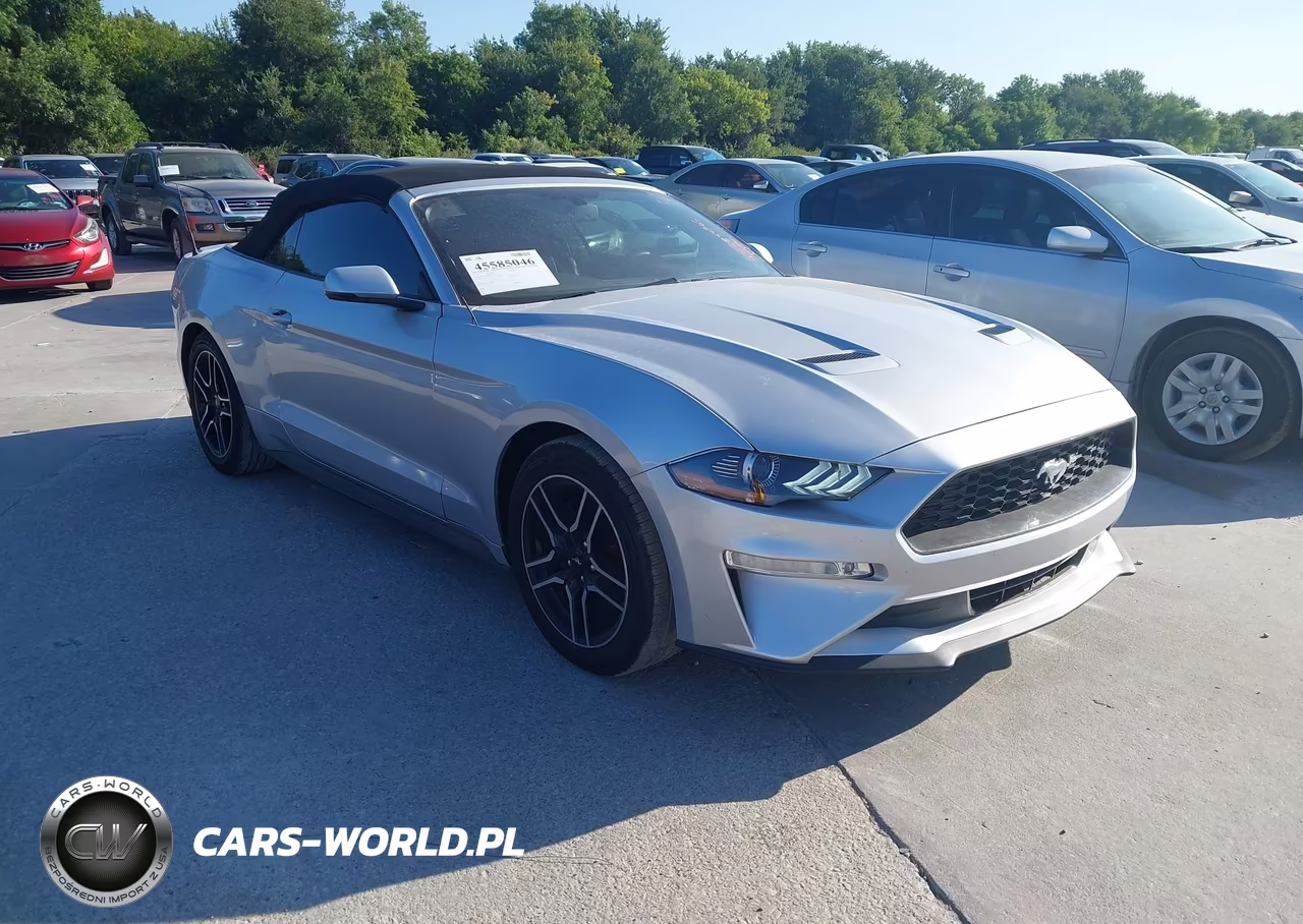 2019 Ford Mustang