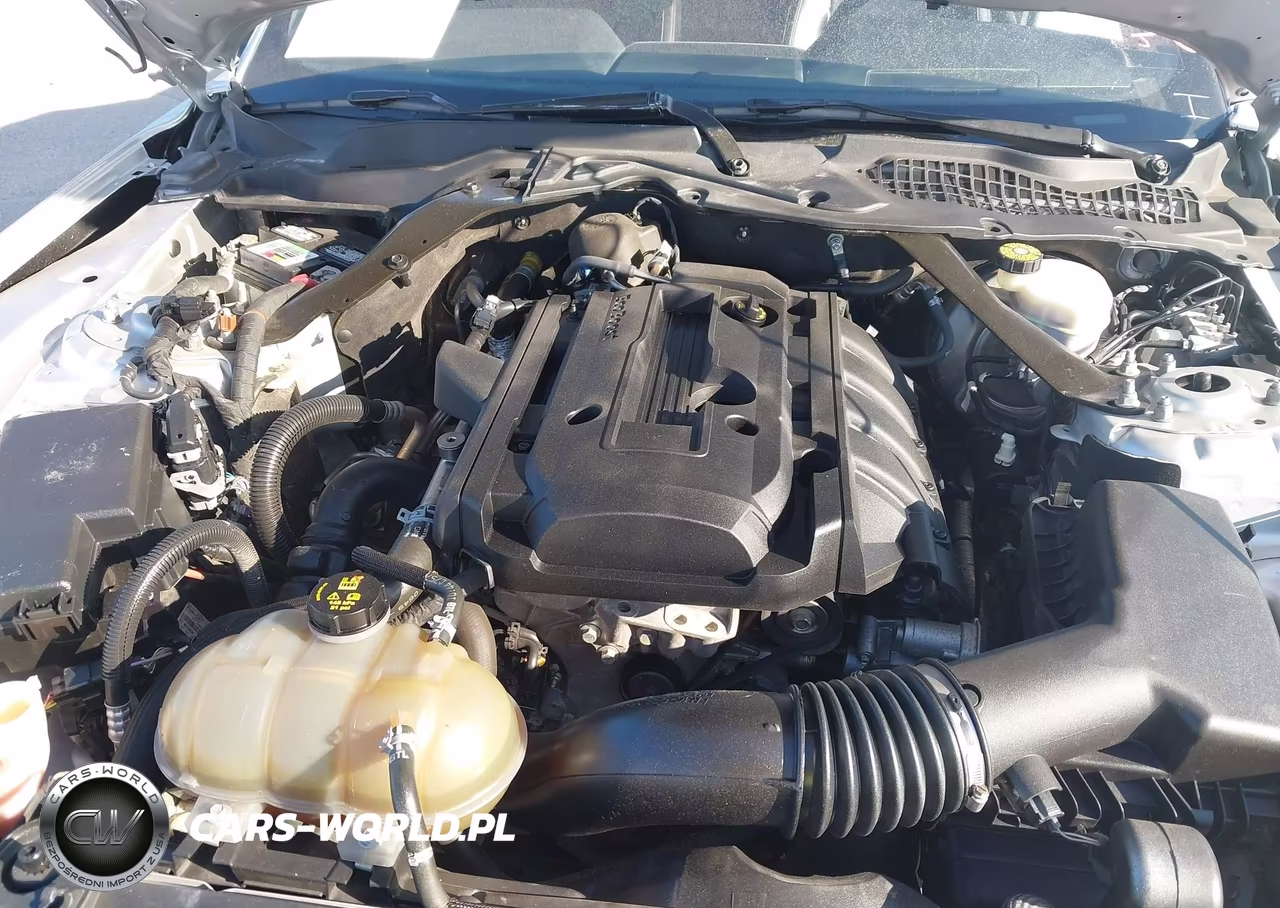 2019 Ford Mustang VIN:1FATP8UH4K5162300 - 10