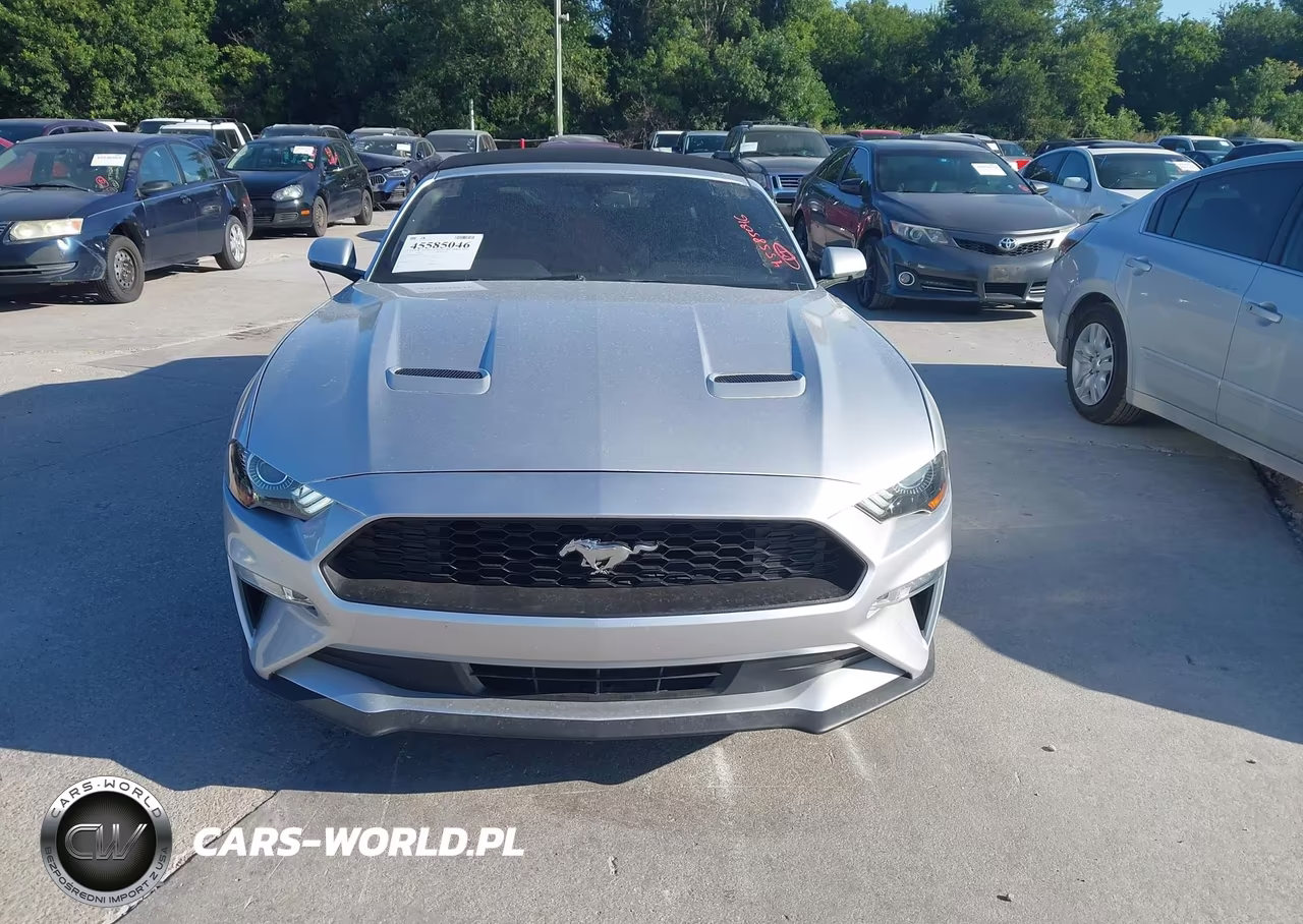 2019 Ford Mustang VIN:1FATP8UH4K5162300 - 12