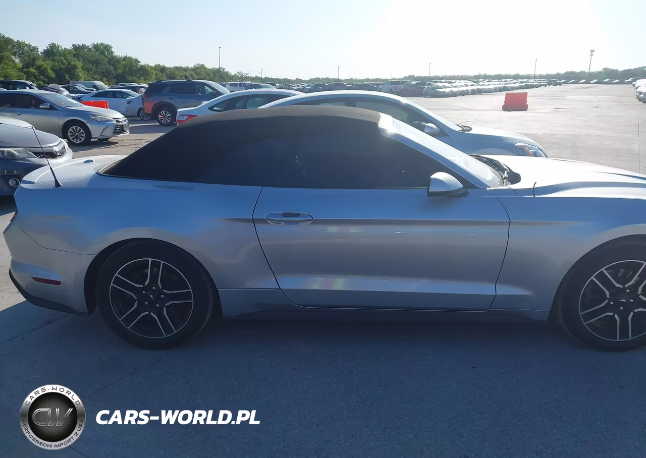 2019 Ford Mustang VIN:1FATP8UH4K5162300 - 13