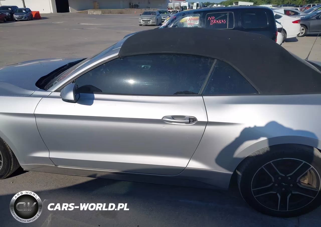2019 Ford Mustang VIN:1FATP8UH4K5162300 - 14