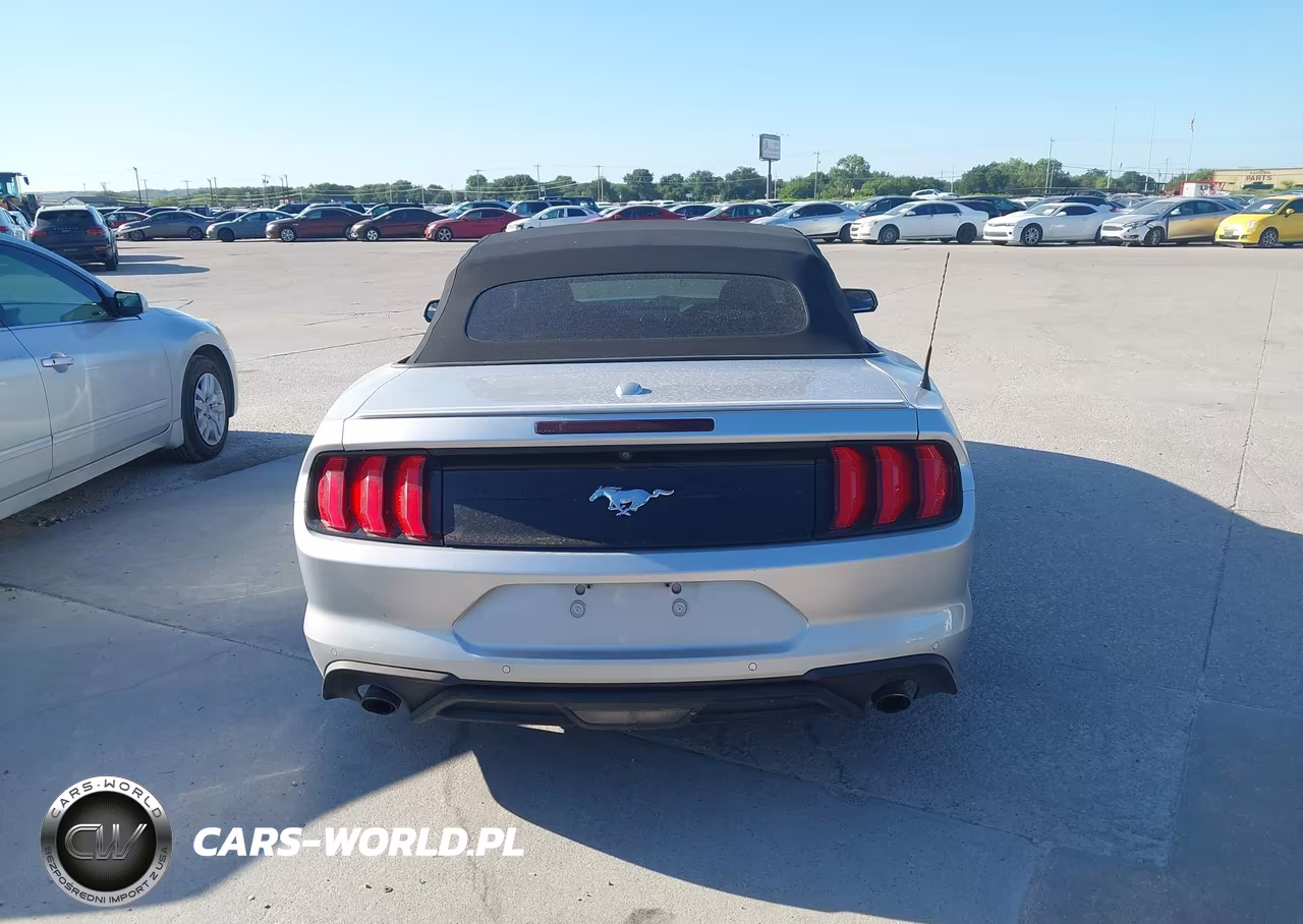 2019 Ford Mustang VIN:1FATP8UH4K5162300 - 16