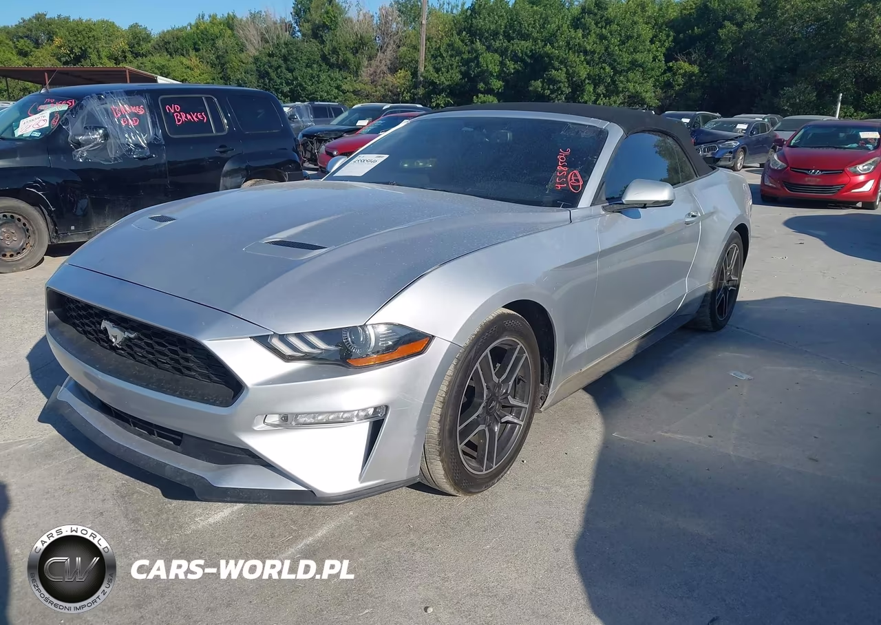 2019 Ford Mustang VIN:1FATP8UH4K5162300 - 2