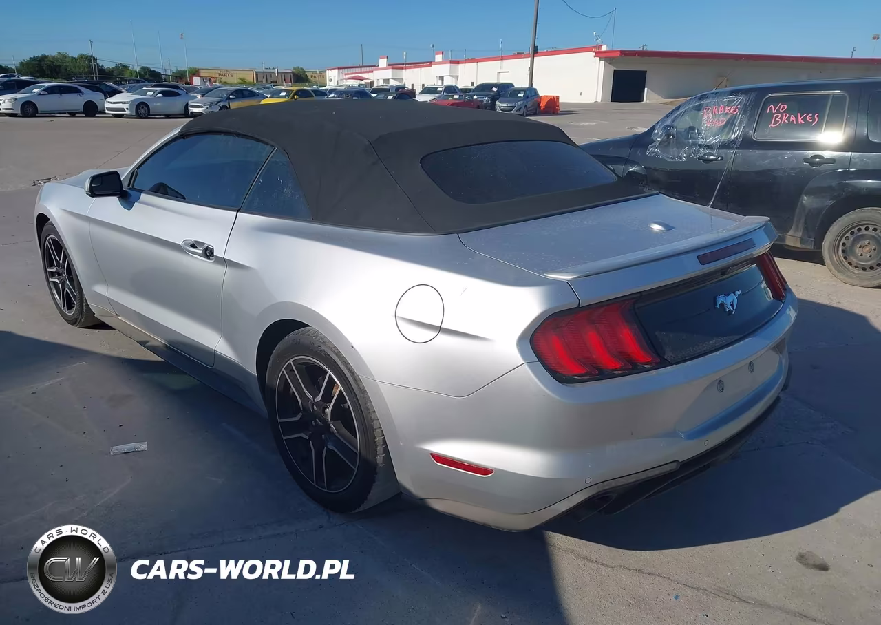 2019 Ford Mustang VIN:1FATP8UH4K5162300 - 3