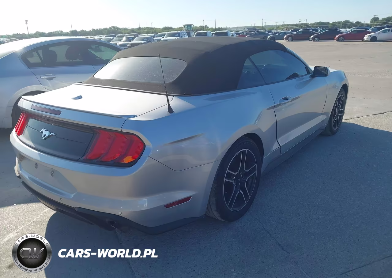 2019 Ford Mustang VIN:1FATP8UH4K5162300 - 4