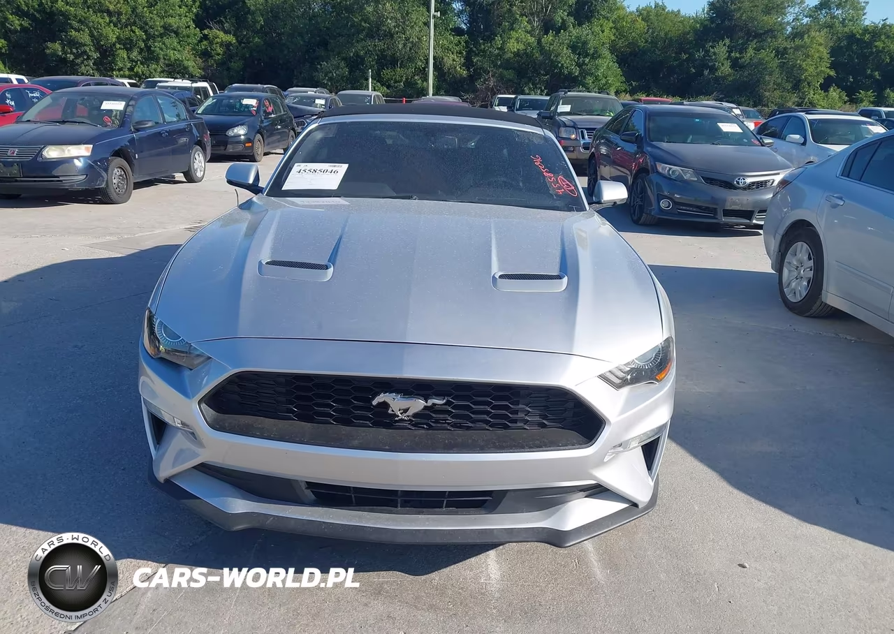 2019 Ford Mustang VIN:1FATP8UH4K5162300 - 6
