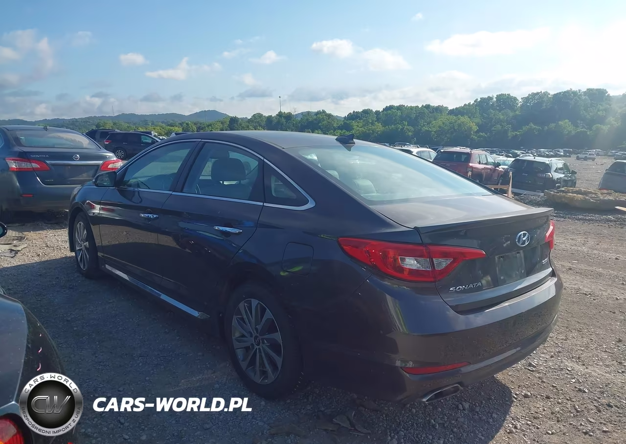 2016 Hyundai Sonata Sport VIN:5NPE34AF3GH312303 - 14