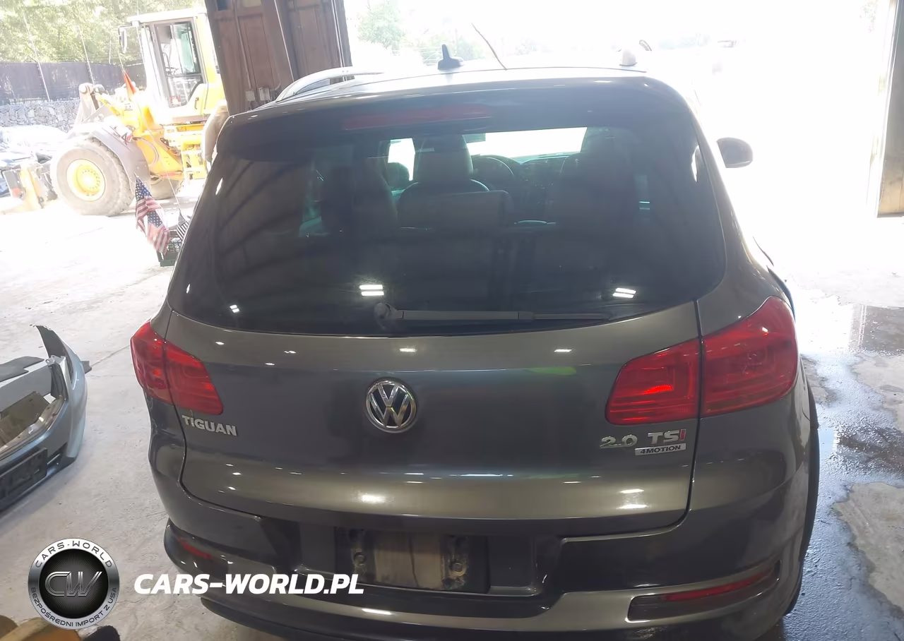 2015 Volkswagen Tiguan R-Line VIN:WVGBV7AX8FW089199 - 16