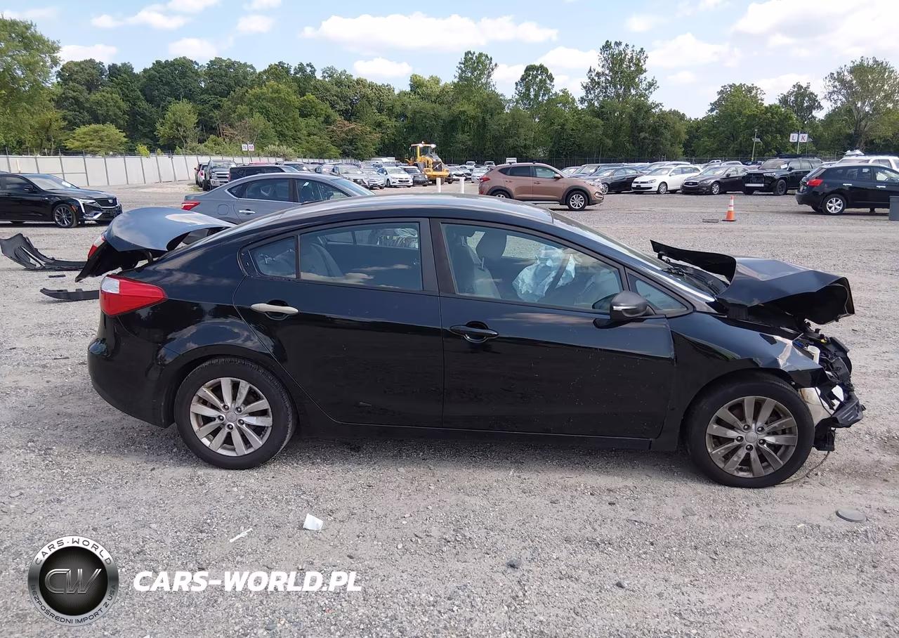 2015 Kia Forte Lx VIN:KNAFX4A6XF5415965 - 14