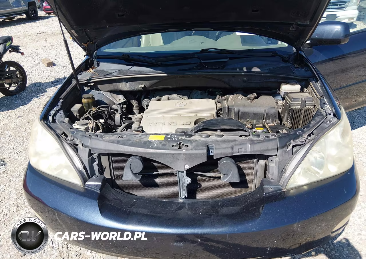 2004 Lexus Rx 330 VIN:JTJGA31U240041750 - 10