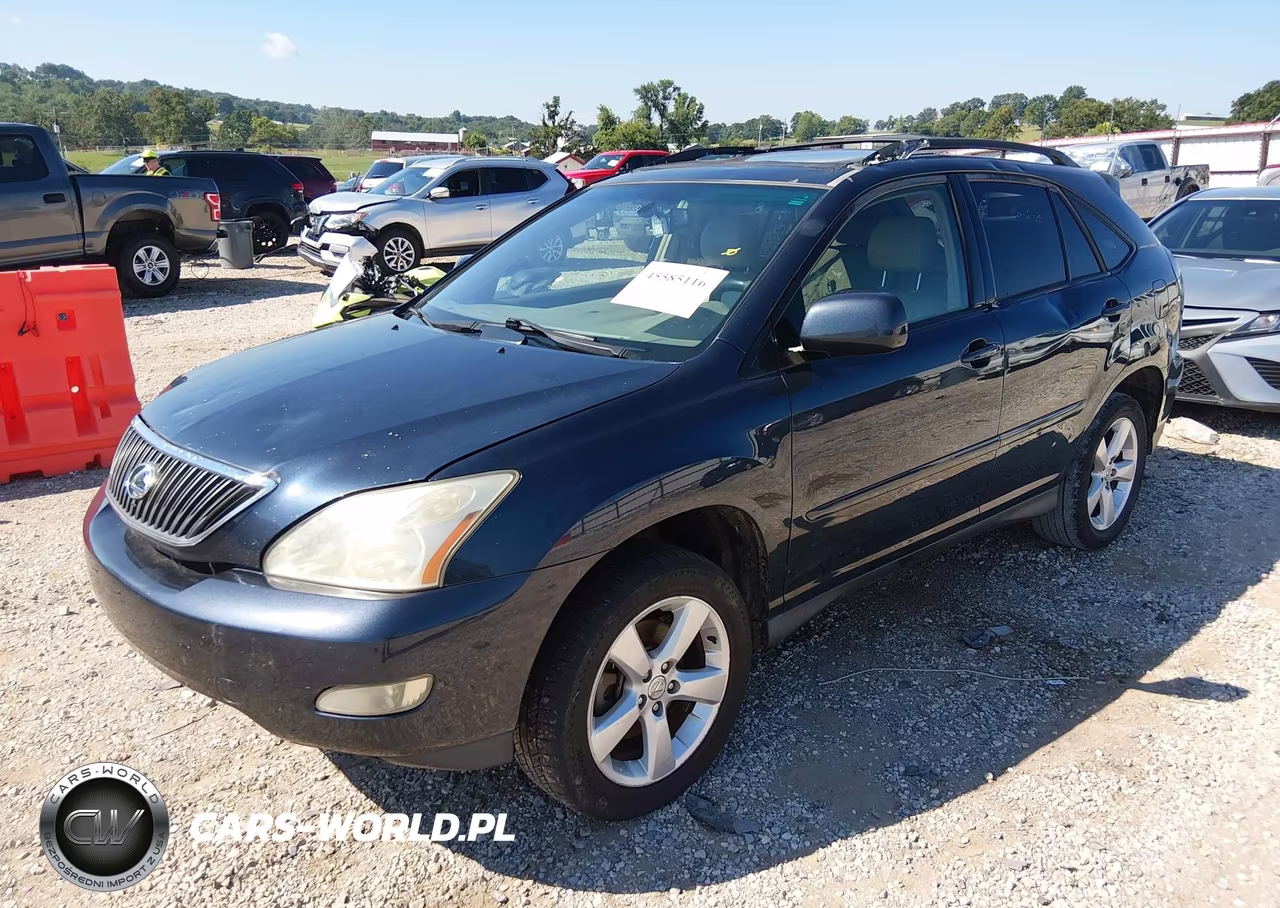 2004 Lexus Rx 330 VIN:JTJGA31U240041750 - 2