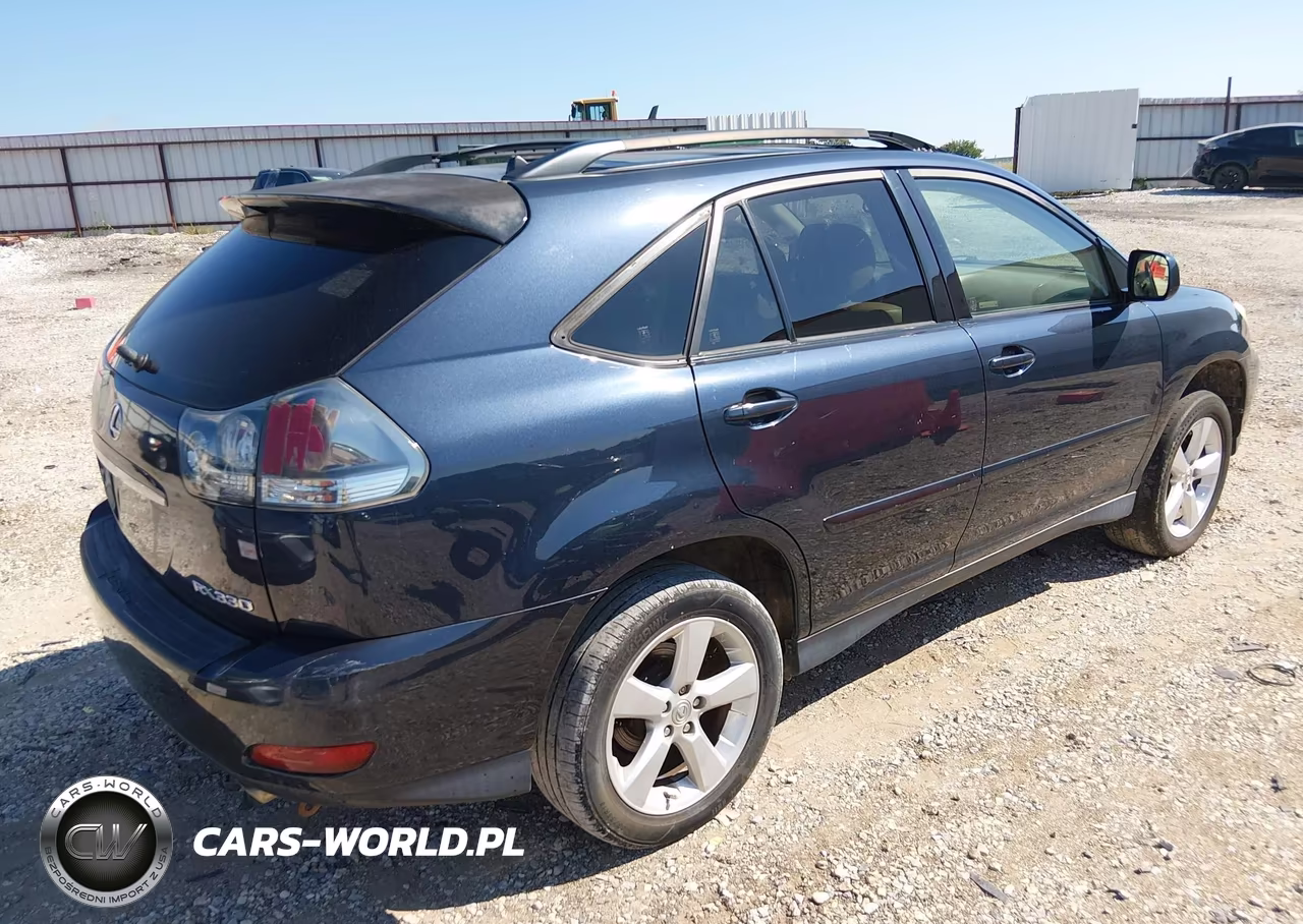 2004 Lexus Rx 330 VIN:JTJGA31U240041750 - 4