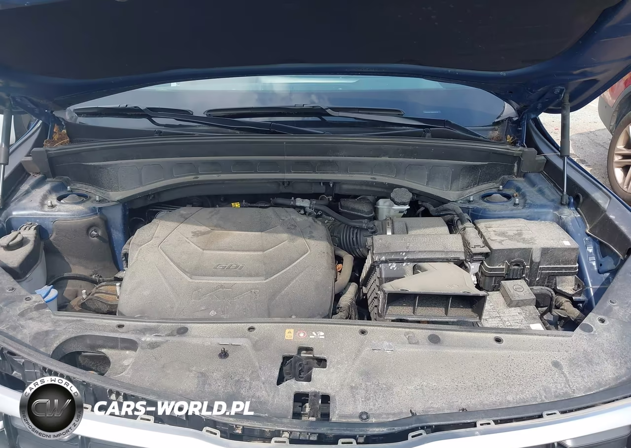 2023 Kia Telluride Sx VIN:5XYP5DGC3PG333319 - 10