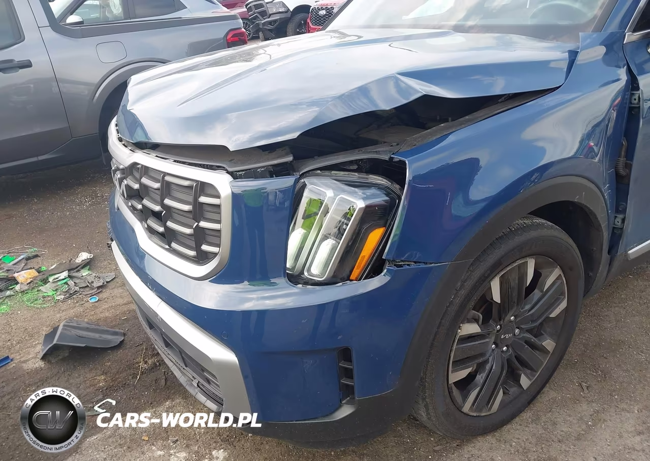 2023 Kia Telluride Sx VIN:5XYP5DGC3PG333319 - 12