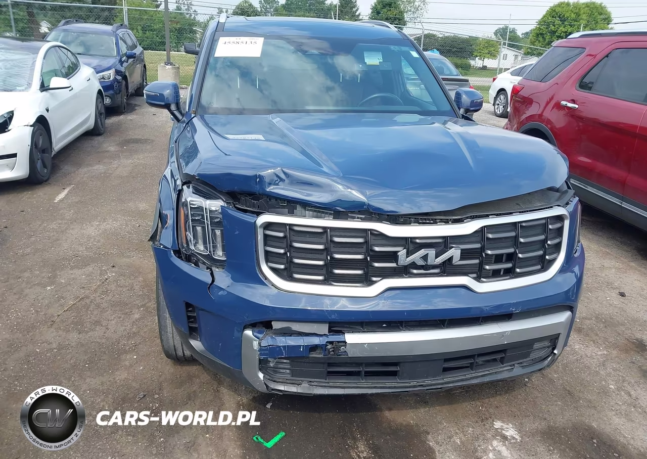 2023 Kia Telluride Sx VIN:5XYP5DGC3PG333319 - 13