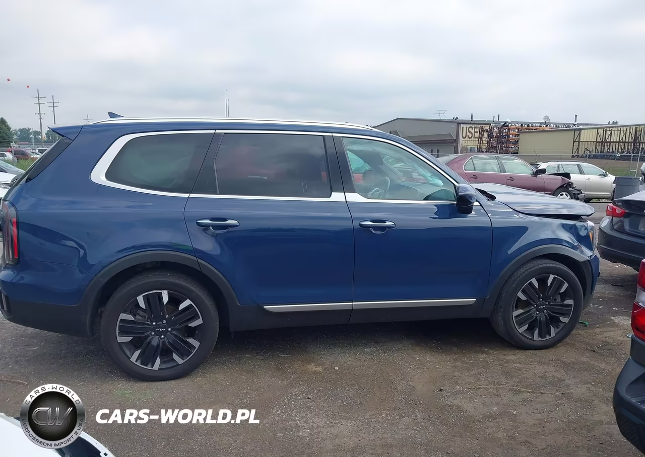 2023 Kia Telluride Sx VIN:5XYP5DGC3PG333319 - 14