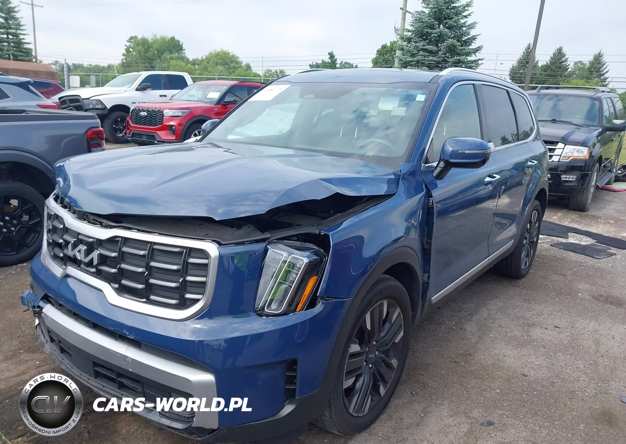2023 Kia Telluride Sx VIN:5XYP5DGC3PG333319 - 2