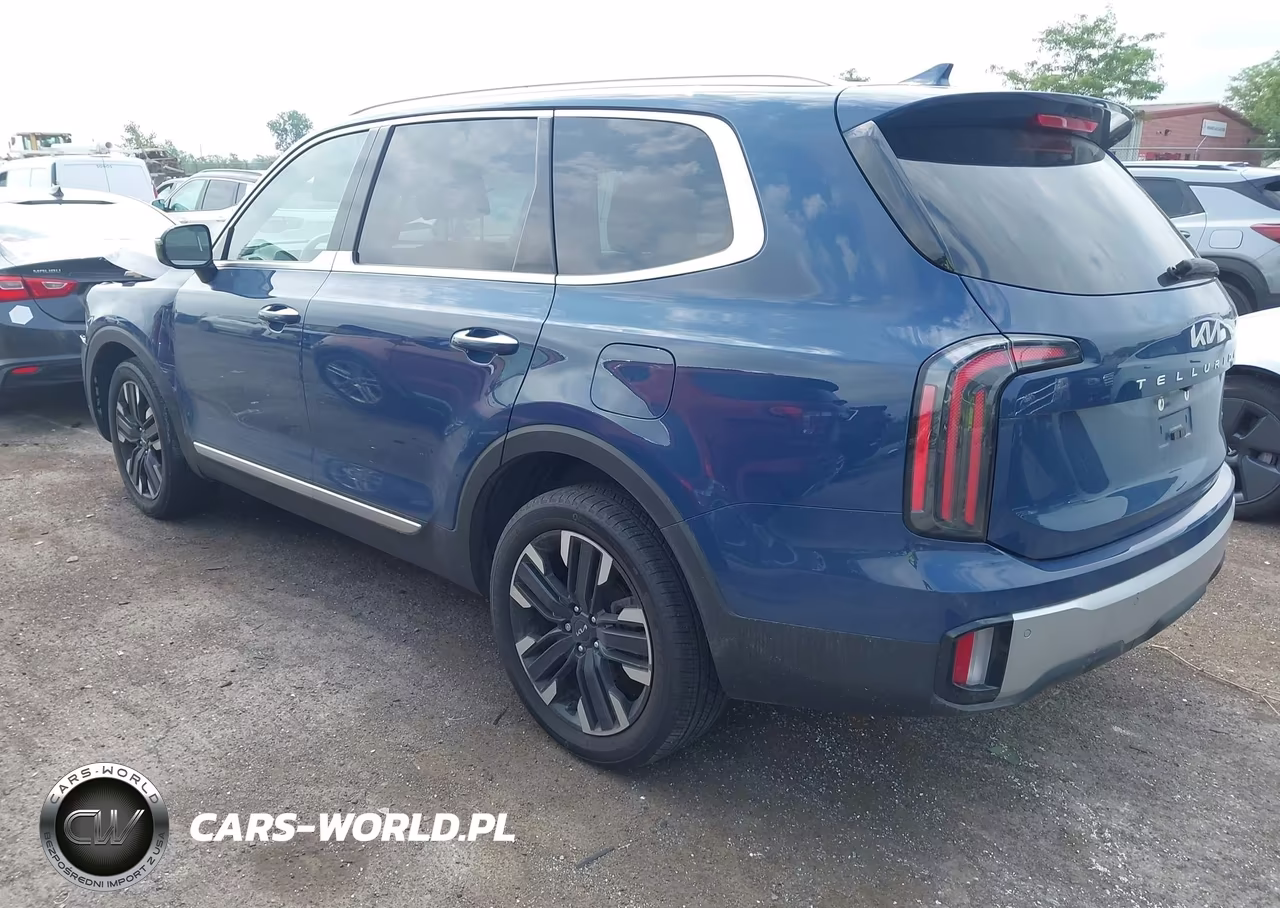 2023 Kia Telluride Sx VIN:5XYP5DGC3PG333319 - 3