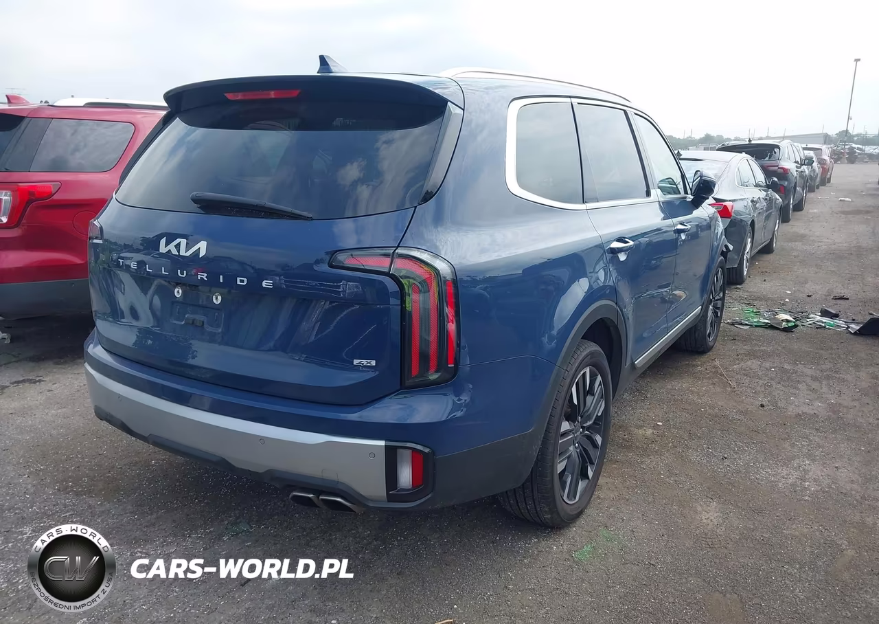 2023 Kia Telluride Sx VIN:5XYP5DGC3PG333319 - 4