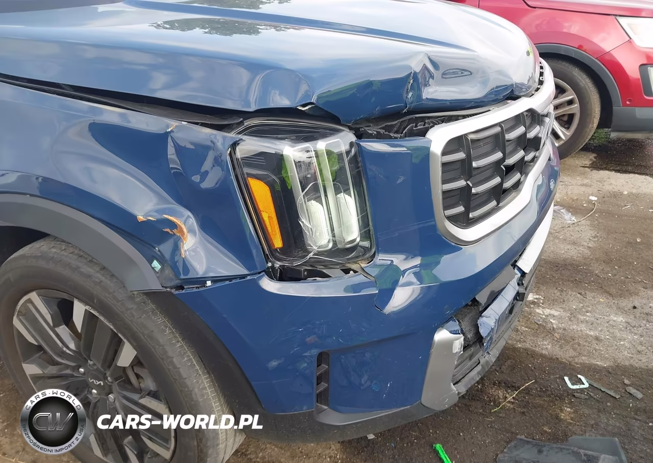 2023 Kia Telluride Sx VIN:5XYP5DGC3PG333319 - 6