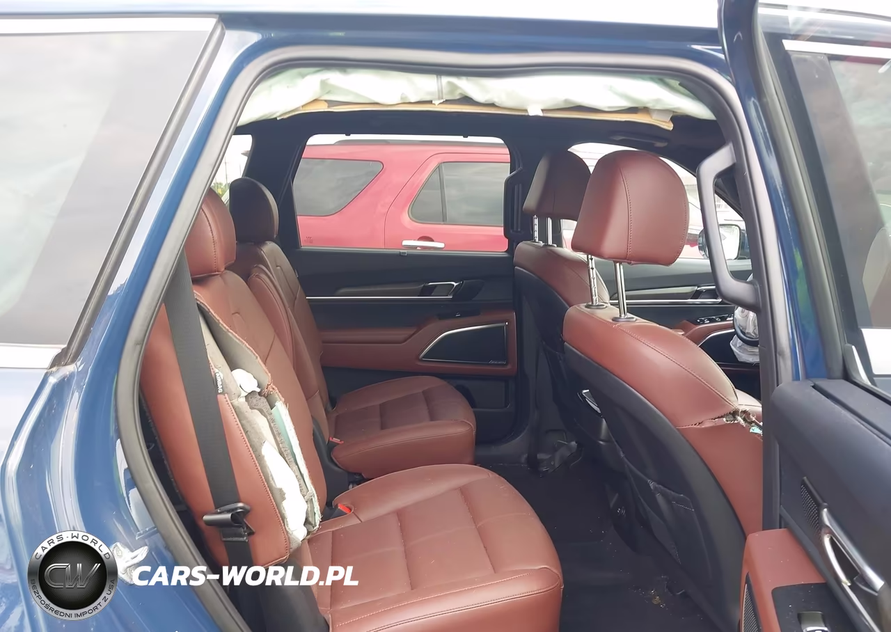 2023 Kia Telluride Sx VIN:5XYP5DGC3PG333319 - 8