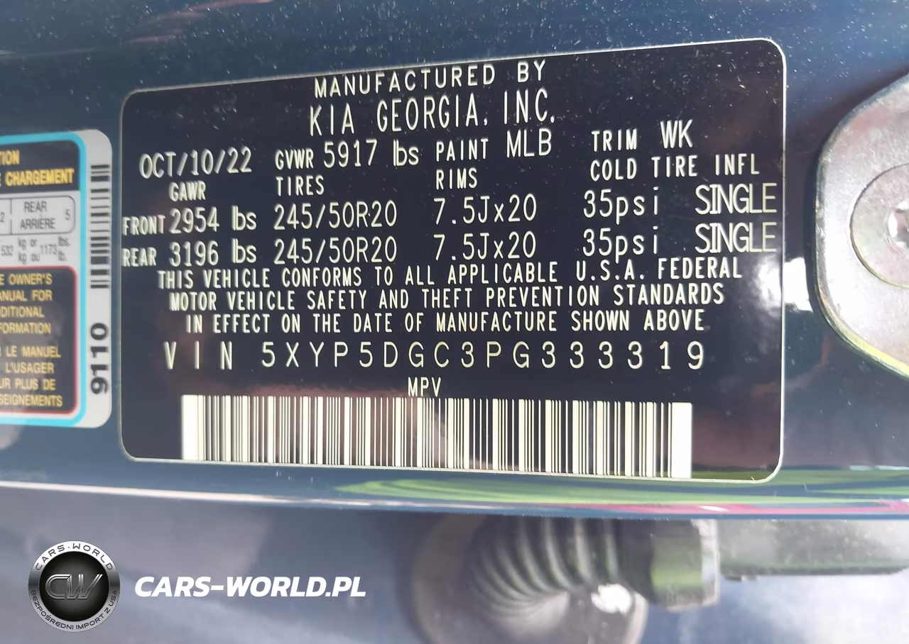 2023 Kia Telluride Sx VIN:5XYP5DGC3PG333319 - 9