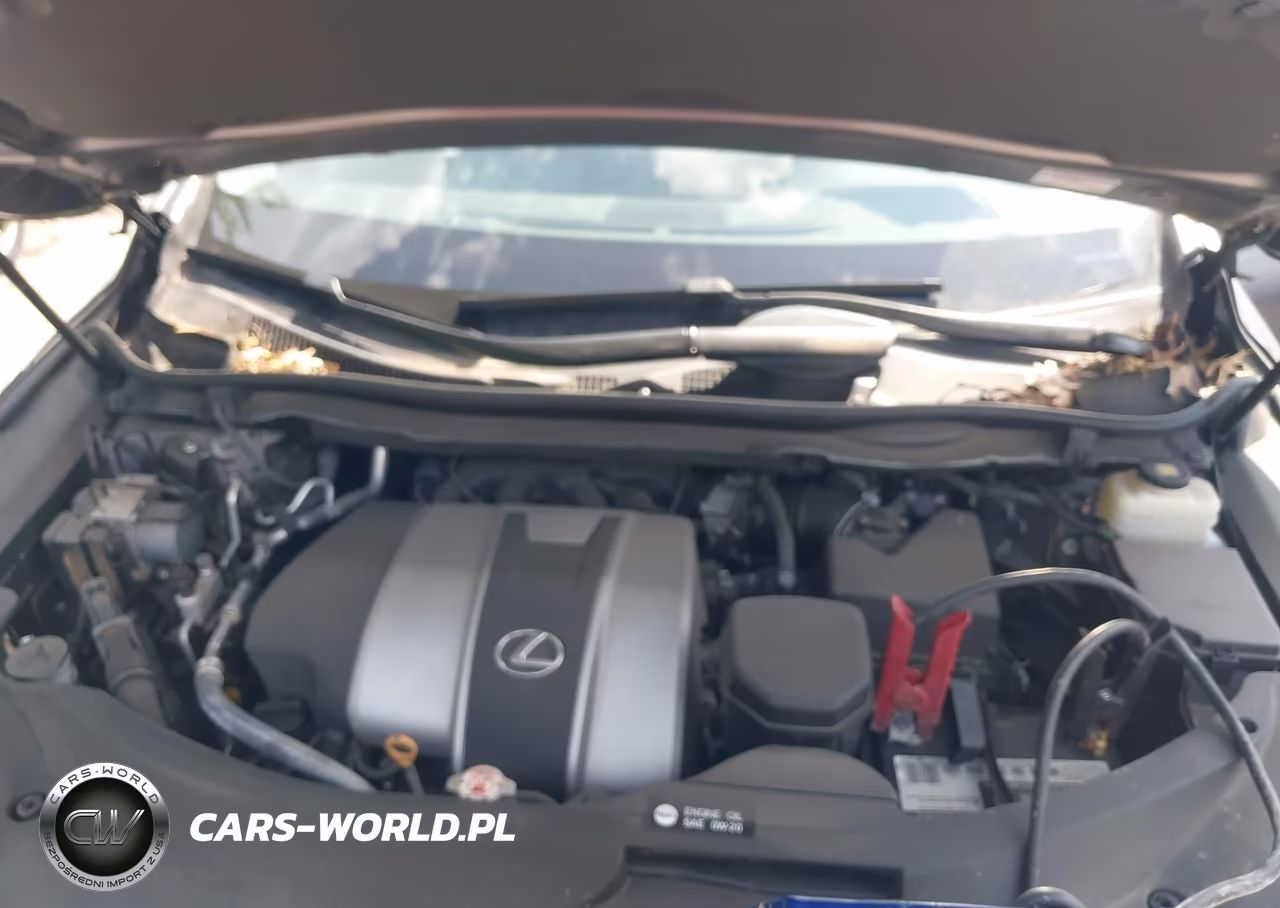 2017 Lexus Rx 350 VIN:2T2BZMCA3HC119376 - 10