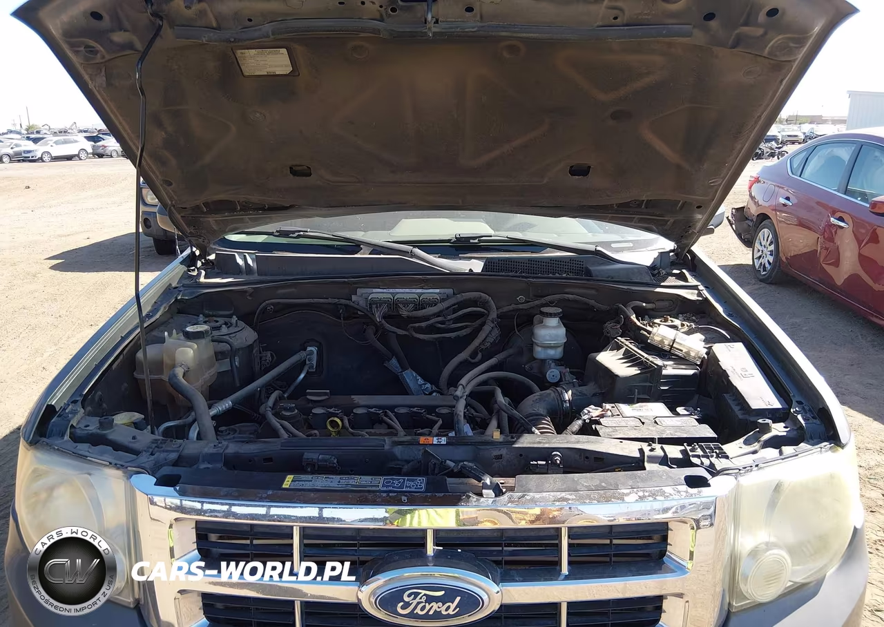 2011 Ford Escape Xlt VIN:1FMCU9D73BKA68843 - 10