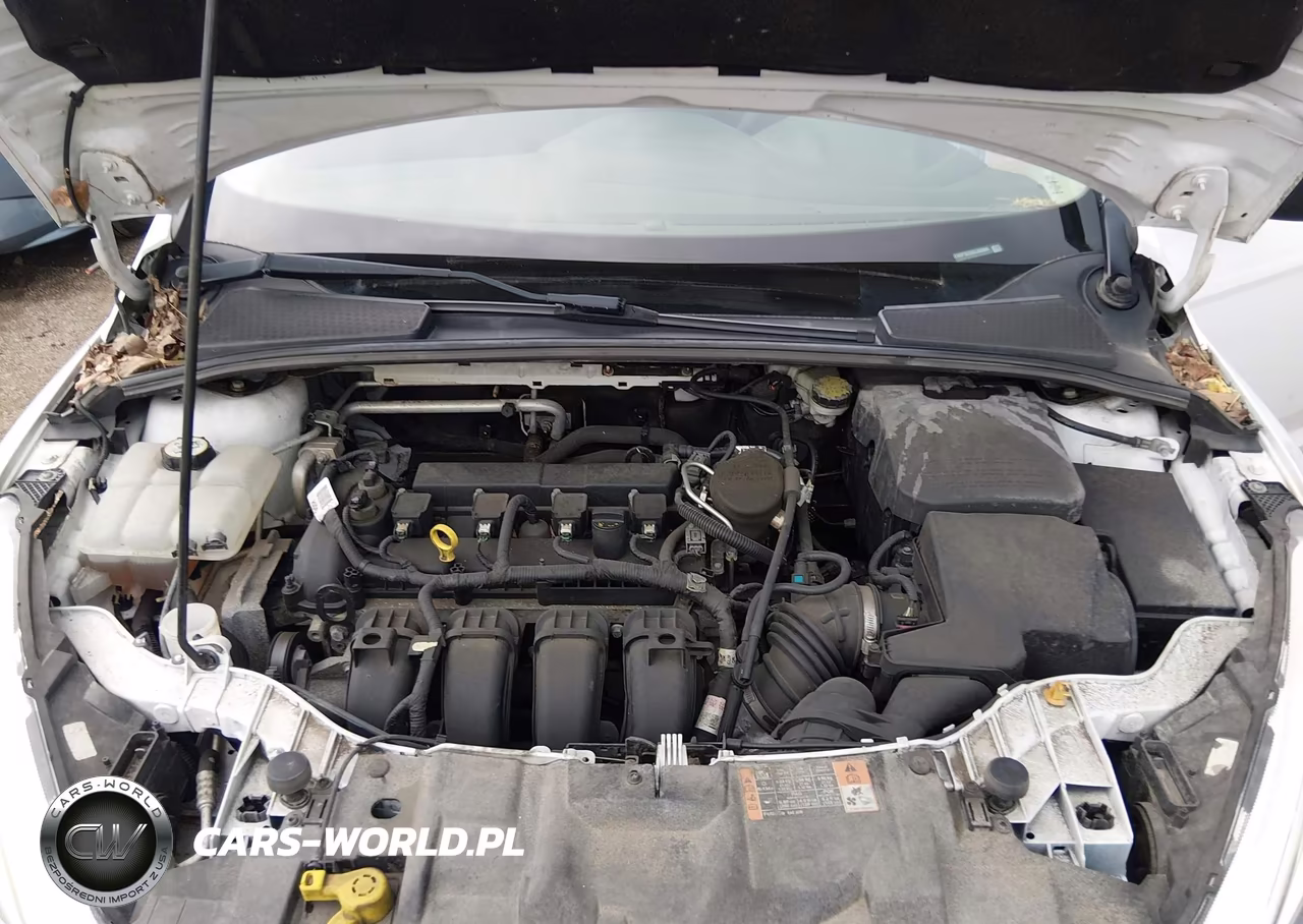2016 Ford Focus S VIN:1FADP3E20GL202084 - 10