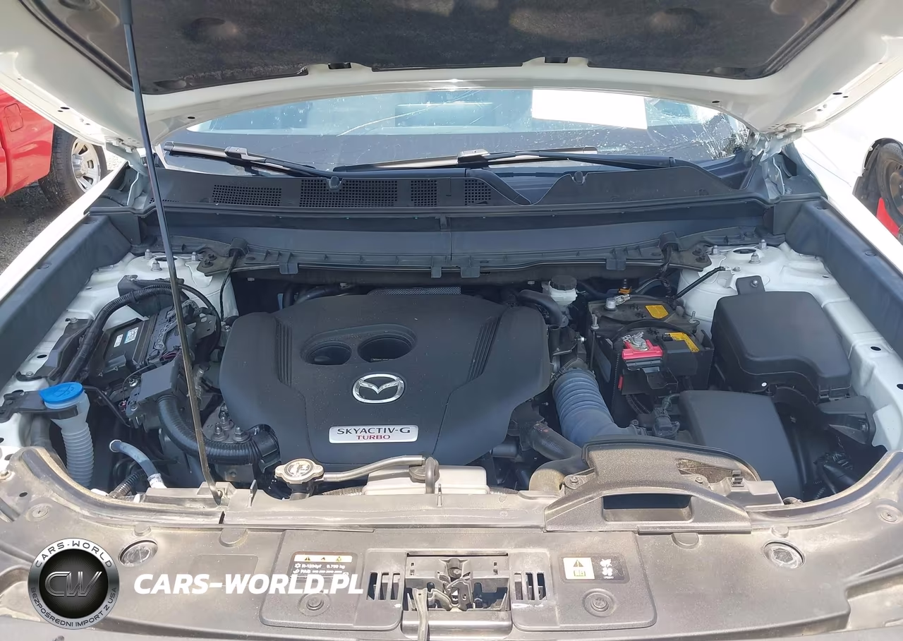 2023 Mazda Cx-9 Touring Plus VIN:JM3TCBAY8P0651575 - 10