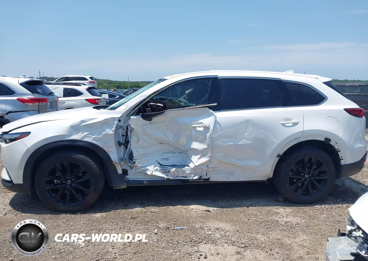 2023 Mazda Cx-9 Touring Plus VIN:JM3TCBAY8P0651575 - 15