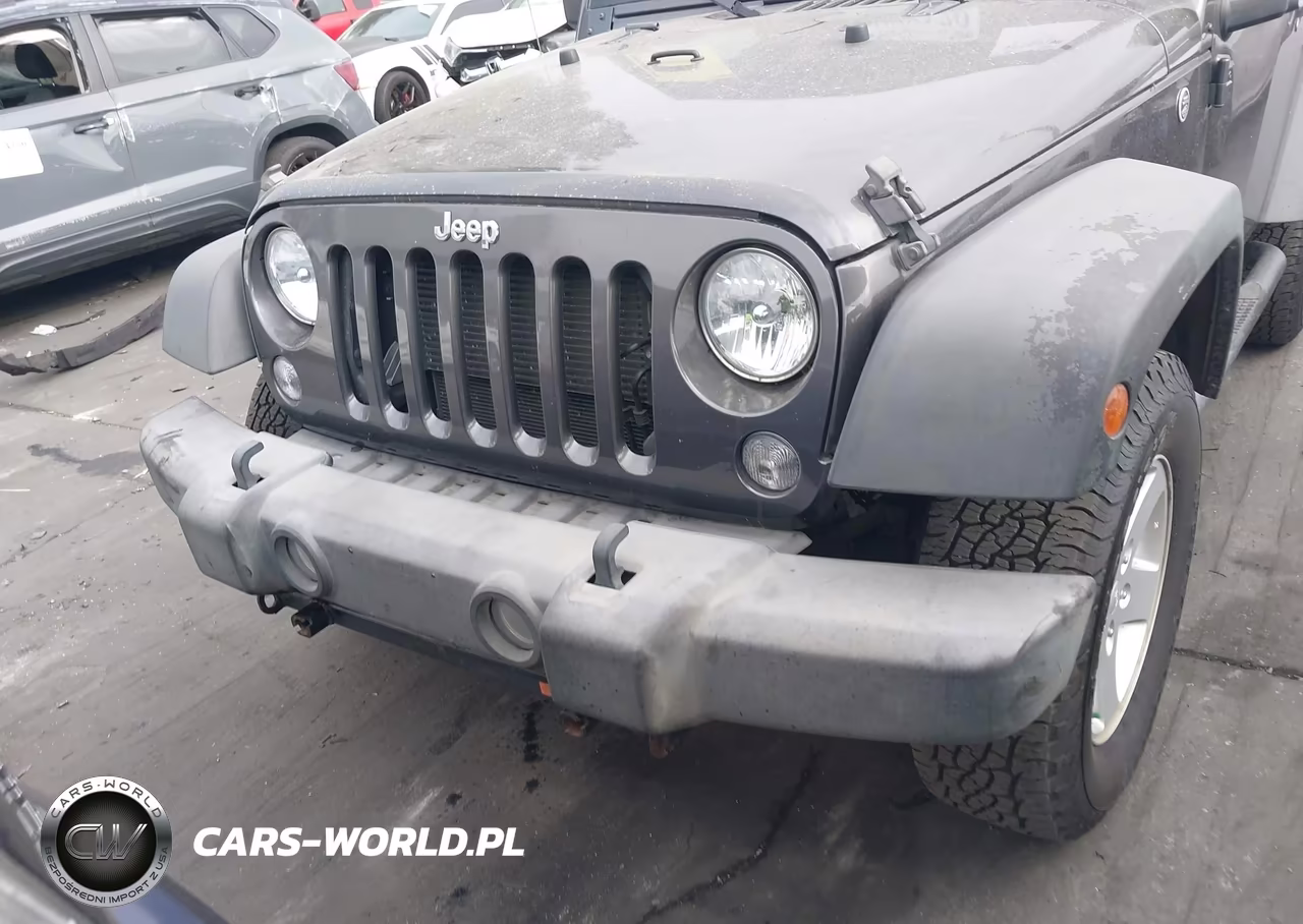 2017 Jeep Wrangler Sport 4X4 VIN:1C4GJWAG8HL649792 - 13
