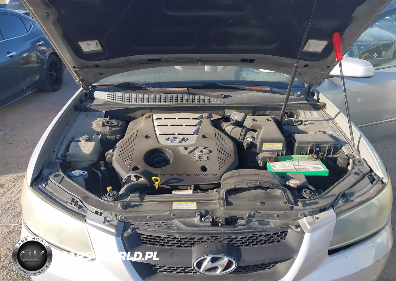 2006 Hyundai Sonata Gls V6-Lx V6 VIN:5NPEU46F16H114856 - 10