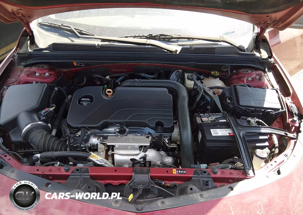 2019 Chevrolet Malibu Rs VIN:1G1ZG5ST0KF189734 - 10