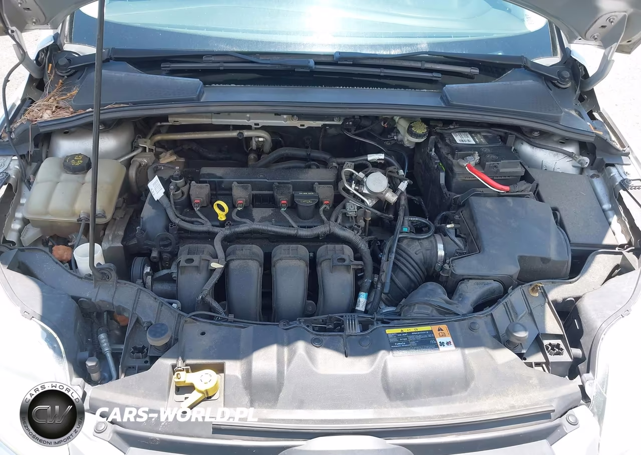 2014 Ford Focus Se VIN:1FADP3K27EL251915 - 10